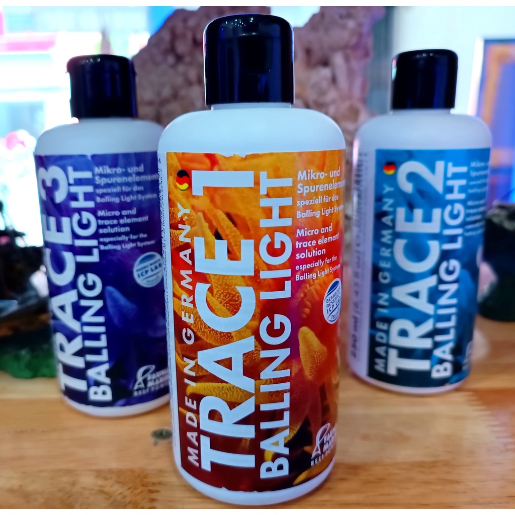 BỘ SẢN PHẨM KÍCH MÀU SAN HÔ FAUNA BALLING