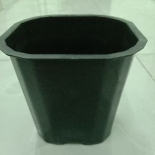 Combo 10 chậu vuông đen 11cm