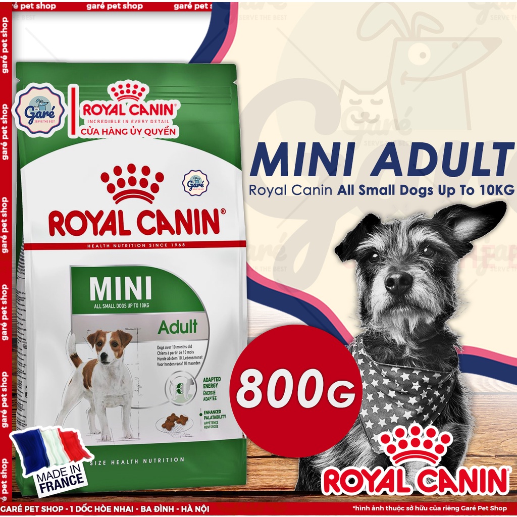 800gr - Hạt Mini Adult Royal Canin dành cho Chó giống nhỏ dưới 10kg trưởng thành trên 10 tháng tuổi Garé Pet Shop