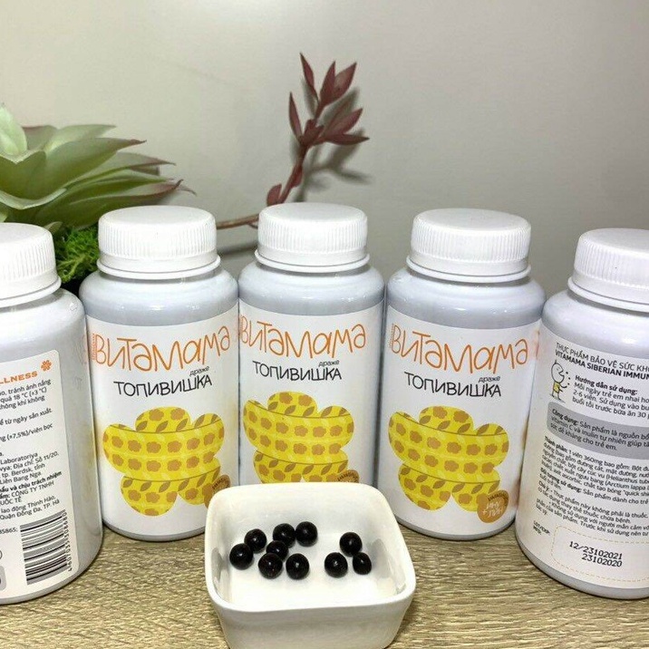 VitaMama Siberian immunity sweets, giúp Tăng sức đề kháng, hỗ trợ cải thiện hệ tiêu hóa cho trẻ khỏe mạnh Hộp 400v