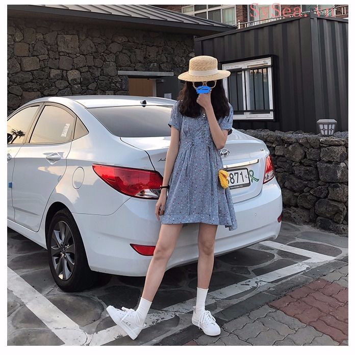 Đầm Chiffon Nữ Cổ Chữ V In Hoa