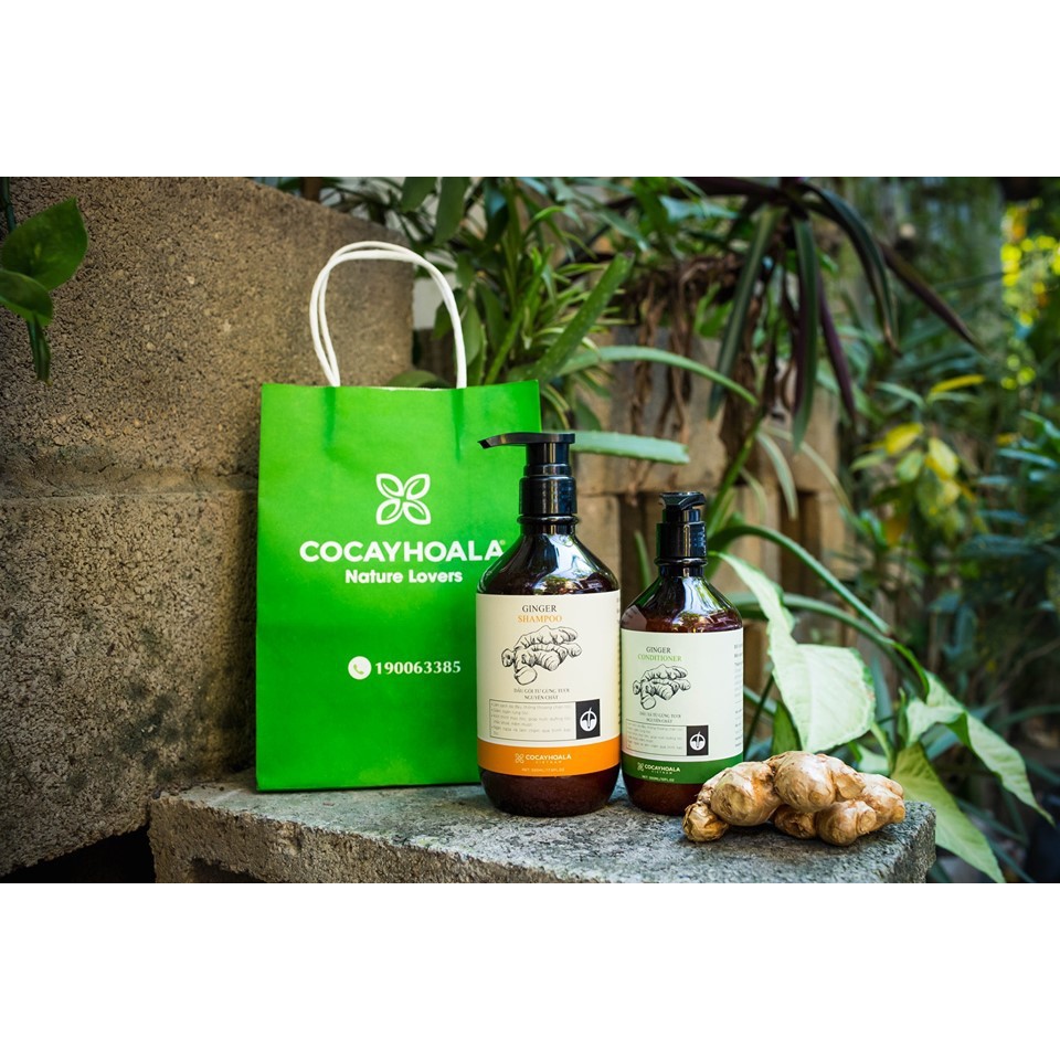 Combo dầu gội và dầu xả Gừng Cỏ cây hoa lá | BigBuy360 - bigbuy360.vn