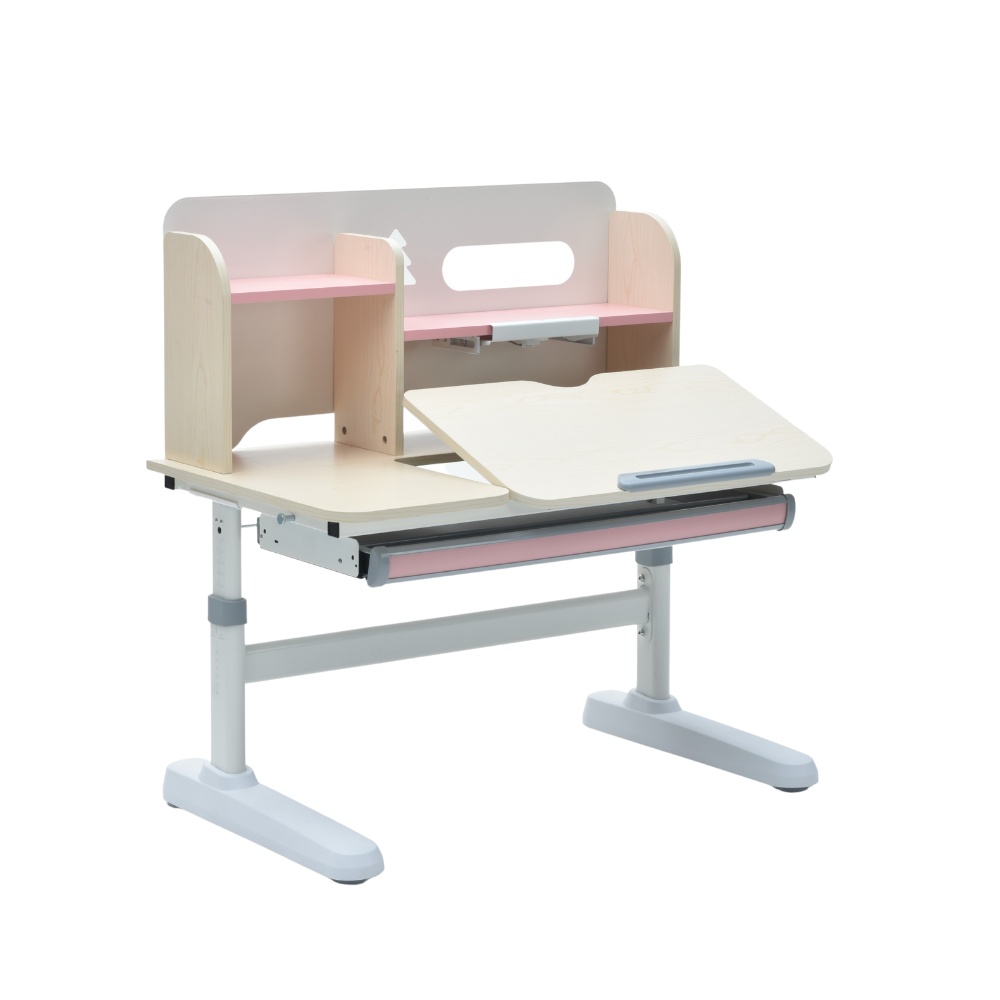Bàn Chống Gù Chống Cận Zac Ergonomic GJJY105T Pink