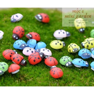 Bọ ngũ sắc | tiểu cảnh terrarium | bn02 || mocminigarden
