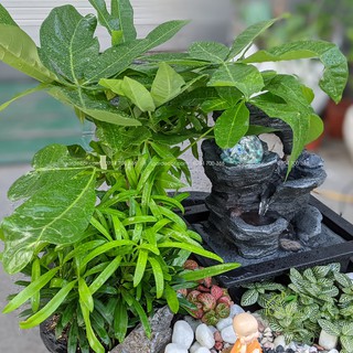 Thác nước tiểu cảnh – Ghềnh Thác