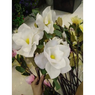 HOA MỘC LAN CAO SU CAO CẤP