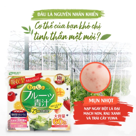 BỘT LÁ ĐẠI MẠCH NON, RAU XANH VÀ TRÁI CÂY YUWA NHẬT BẢN (HỘP 20 GÓI)