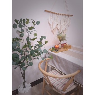 Cây Bạch Đàn 1m3 - Cây giả