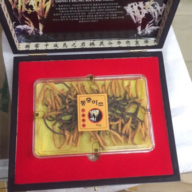 ĐÔNG TRÙNGL 45g HÀN QUỐC | BigBuy360 - bigbuy360.vn