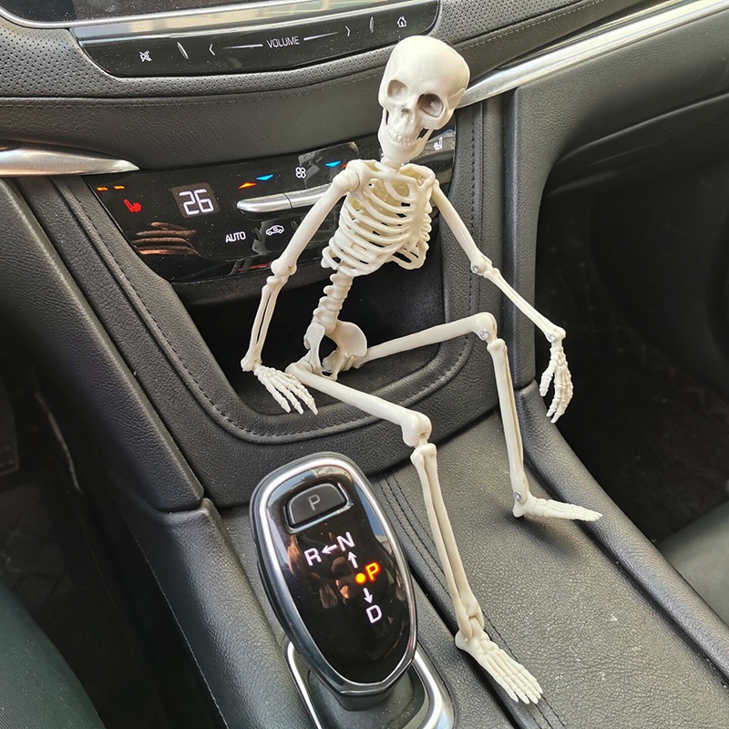 1 Mô Hình Bộ Xương Người Dùng Học Y Khoa Trang Trí Halloween