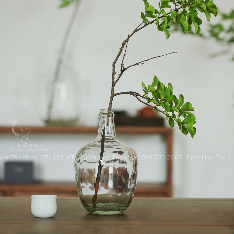 Bình Thuỷ Tinh Decor - Nhất Chi Mai - Phong Cách Wabi Sabi Đơn Giản Mộc Mạc
