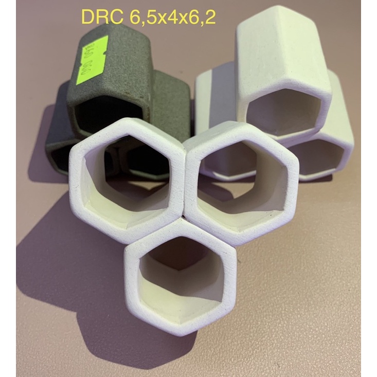 Hang Pleco “HANG 3 LỖ - 60k”