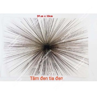 Decal dán biển số xe máy giá 1 chiếc