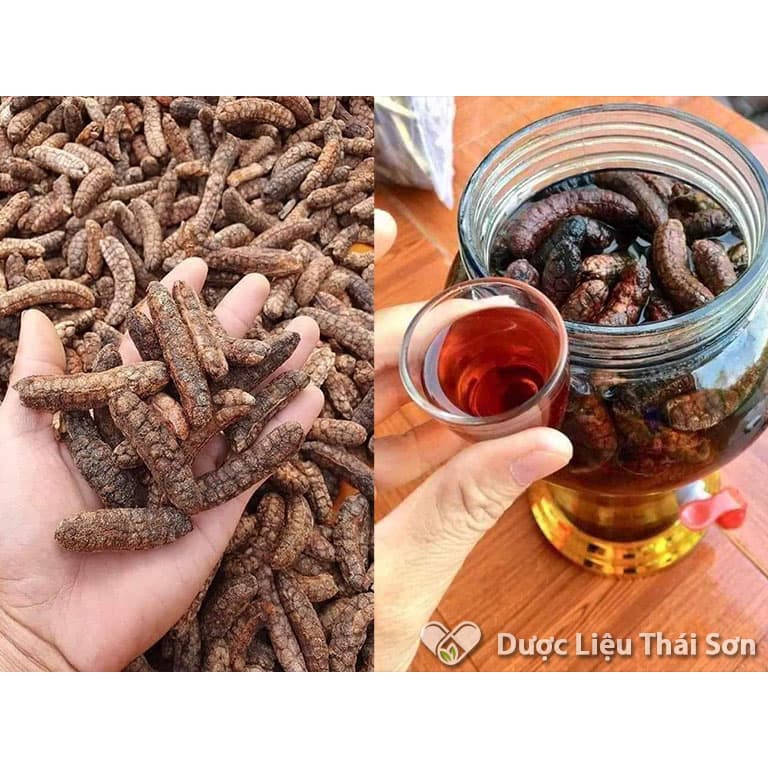 Chuối hột rừng đặc sản Đắk Lắk hàng sấy chất lượng loại 1Kg - Nông sản sạch Tây Nguyên - Dùng ngâm r