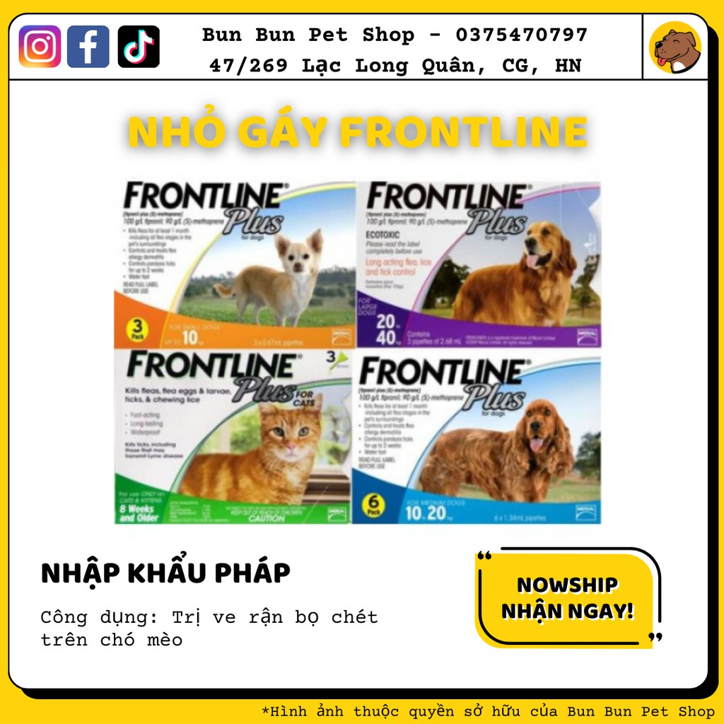 Dung dịch nhỏ gáy Frontline Plus trị ve, bọ chét chó - Hàng Pháp chính hãng