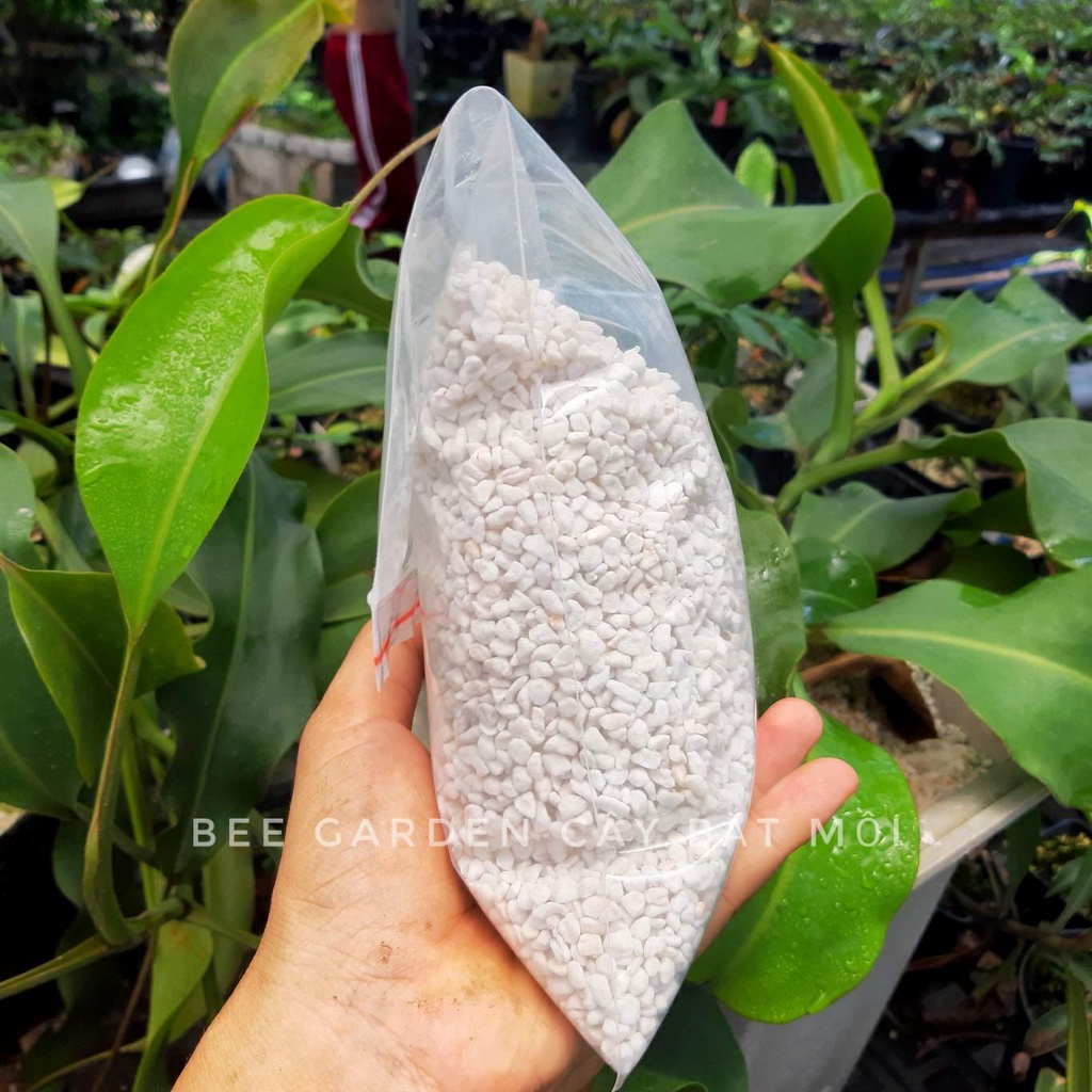 Đá perlite, đá trân châu  size 3-6mm dùng để trồng sen đá, cây bắt mồi, cây cảnh