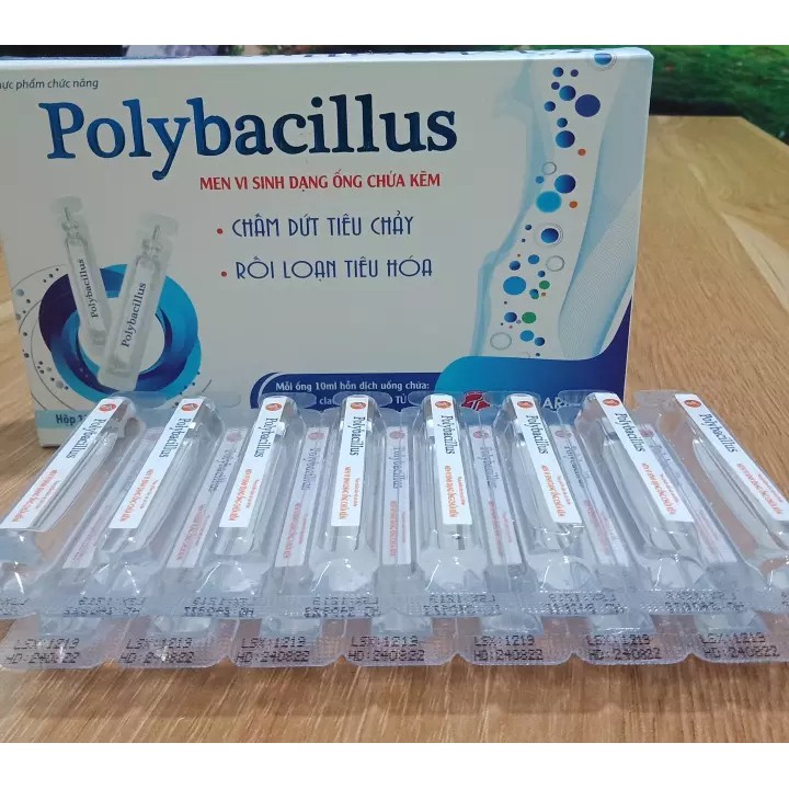 Men vi sinh Polybacillus – Hỗ trợ bổ sung lợi khuẩn, giảm rối loạn tiêu hóa, khó tiêu, chướng bụng (15 ống 10ml)