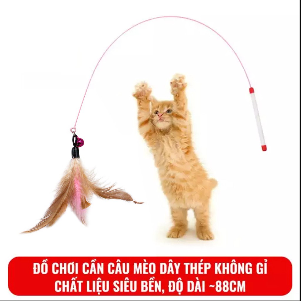 [Đồ Chơi] Cần Câu Mèo Dây Thép Nhiều Hình Dạng Mẫu Mã Dành Cho Thú Cưng