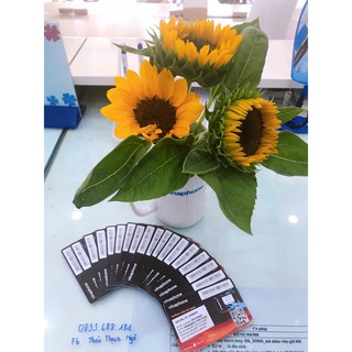 siêu sim 1 năm không nạp tiền