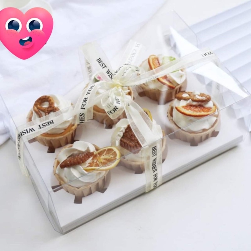 Hộp mica nhựa đựng bánh Cupcake 4,6 bánh cao 10cm
