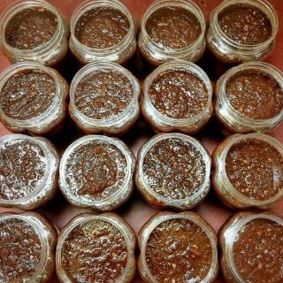 Mắm ruốc đặc sản Mũi Né  - Phan Thiết