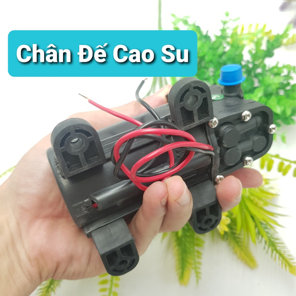 Máy Bơm Tăng Áp 12V DP-521Máy Phun Sương Tăng Áp 3.5 LítBơm Nước 12V Động Cơ 775