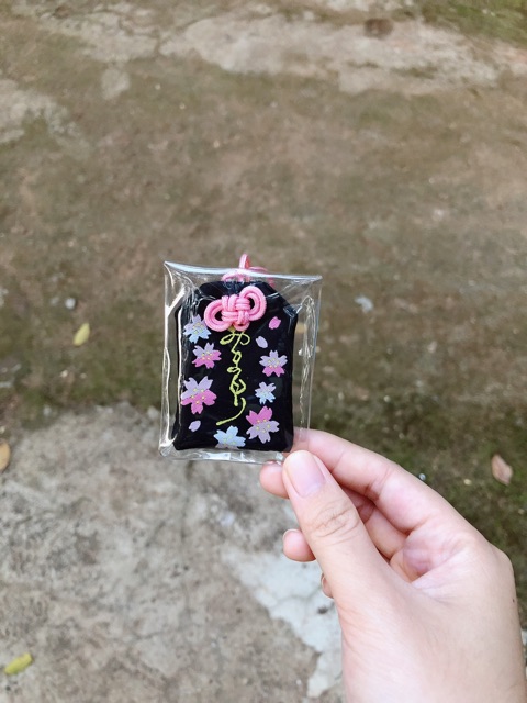 Túi may mắn ngô quý | BigBuy360 - bigbuy360.vn