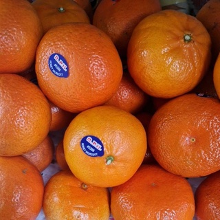 Quýt Ú.c ngọt thơm, mỏng vỏ (1kg)