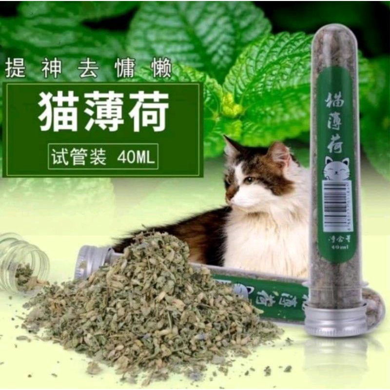Ống cỏ bạc hà Cat Mint cho mèo