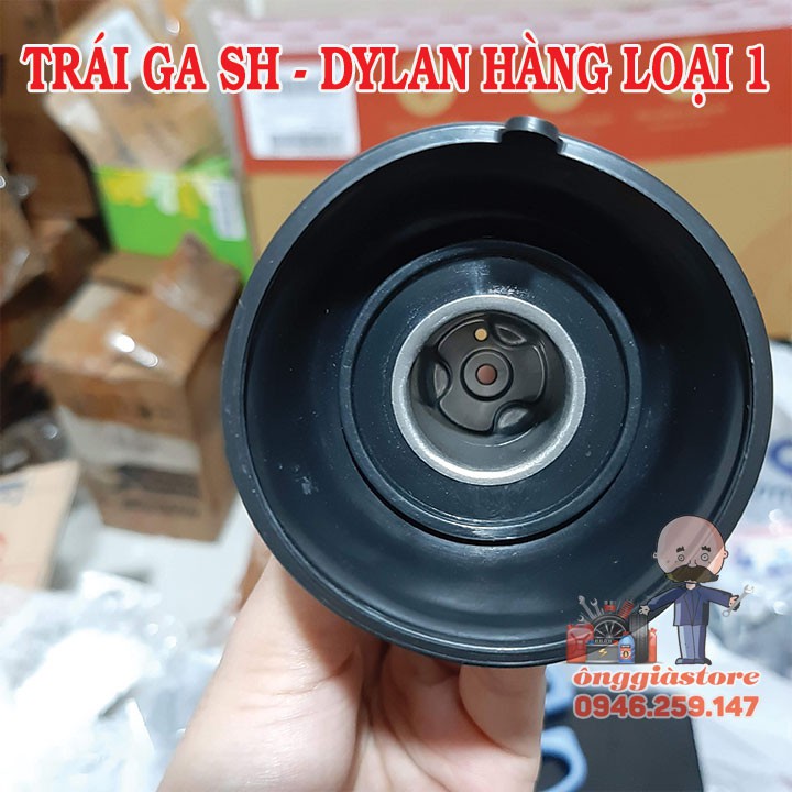 TRÁI GA DÙ SH - DYLAN HÀNG XỊN GIÁ TỐT PT506