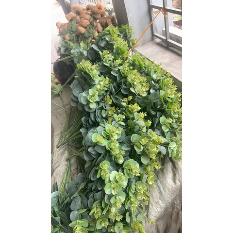 Lá táo cụm 16 nhánh