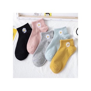 Sét 5đôi vớ thun cotton