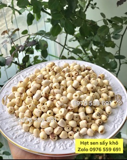HẠT SEN KHÔ BỞ, THƠM, NGẬY