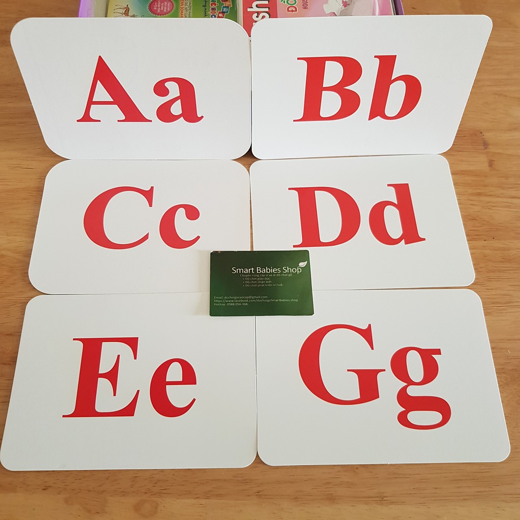 Thẻ học thông minh 19 chủ đề TGXQ mẫu mới nhất 290 thẻ KT 12x16cm