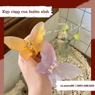Kẹp càng cua 🦋 cực xinh