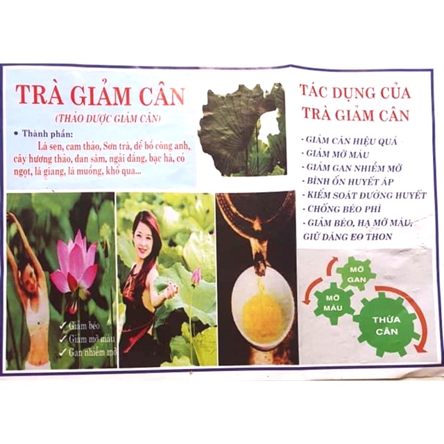 Trà giảm cân thanh lọc cơ thể từ các loại lá cây