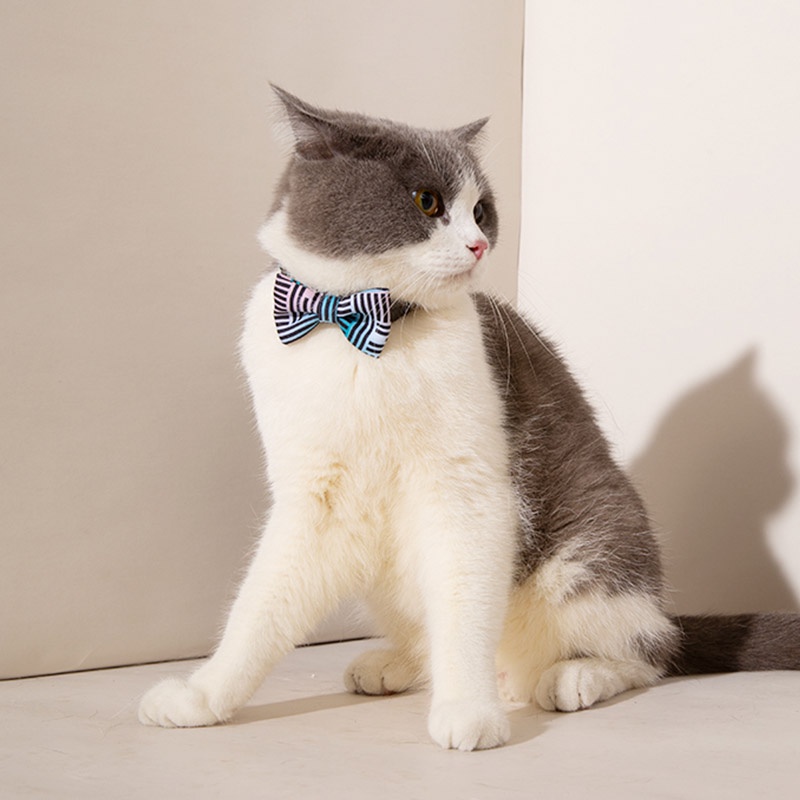 HamshMoc Vòng cổ hình nơ mềm mại dễ thương cho thú cưng