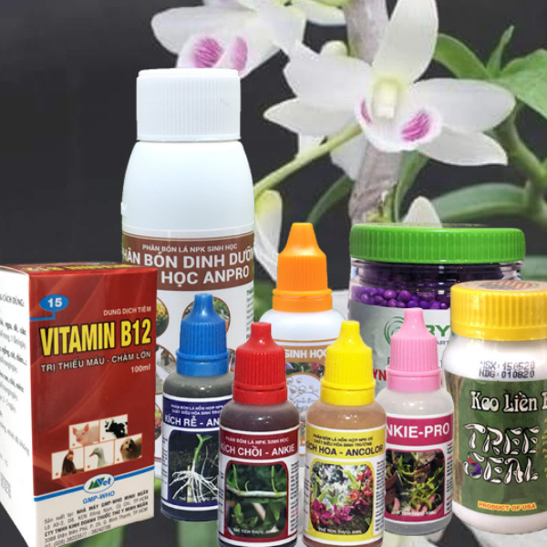 Phân thuốc cho cây cảnh