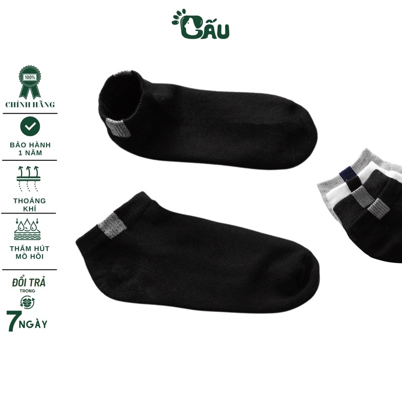 Vớ Trơn Gấu 194 Tất Lười Vải Coton Co Dãn 4 Chiều Chống Hôi Chân, Co Dãn, Sang Chảnh - Zr