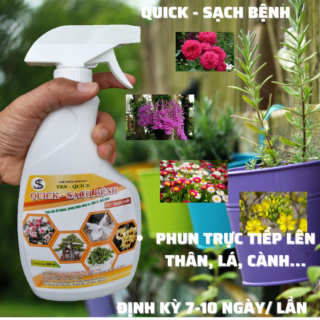 Chai Xịt Sạch Nấm Bệnh Cho Cây Trồng: Vàng Lá, Đen Thân, Khô Đen Bông - Chai 500ml
