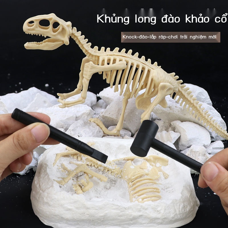✉❈✌Đồ chơi khai quật khảo cổ học cho trẻ em khủng long hóa thạch tự làm mô hình bộ xương lắp ráp