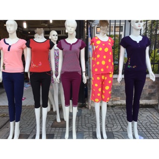 Combo 15 bộ của Hà trương