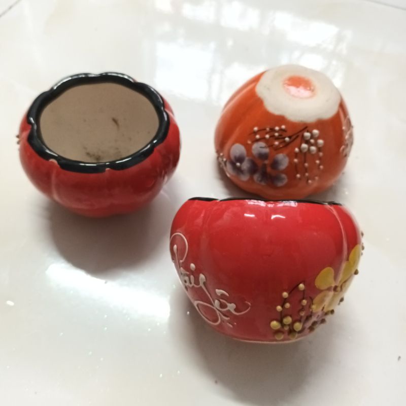 Chậu gốm sứ trồng cây, trồng bông in chữ tài lộc hoa mai vàng may mắn