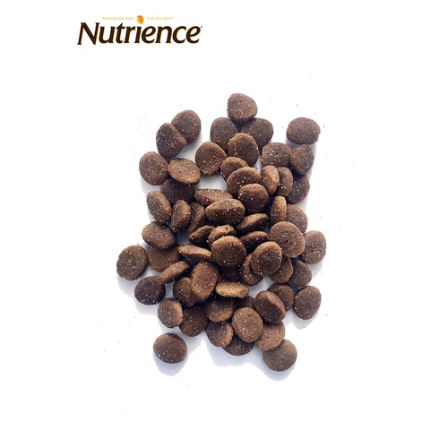 Thức ăn hạt cao cấp dành cho chó trưởng thành giống lớn Nutrience Original 500gr