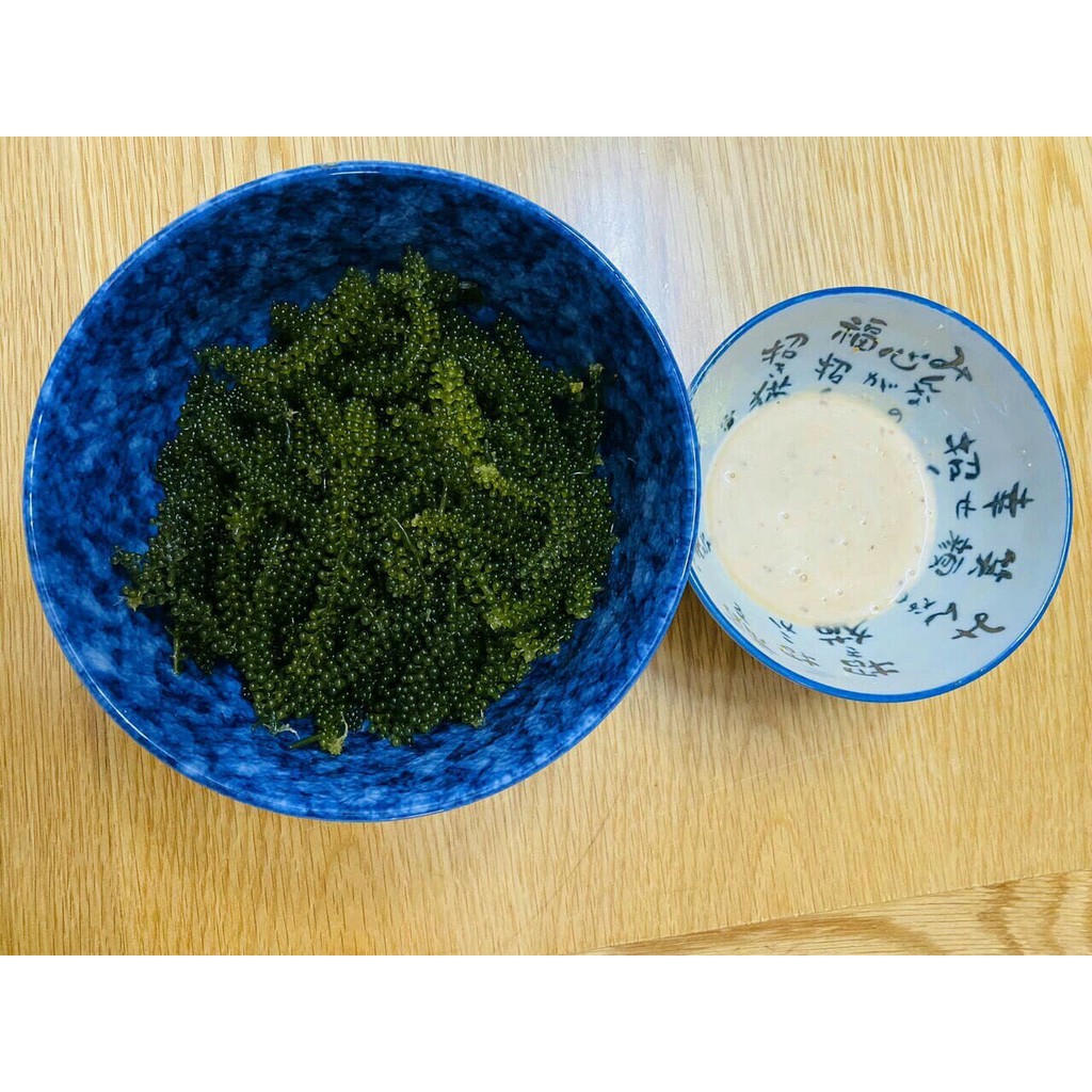 Rong nho Sabudo - 1 gói dùng thử 20g - có tặng kèm 1 gói nước sốt mè rang 15ml | BigBuy360 - bigbuy360.vn