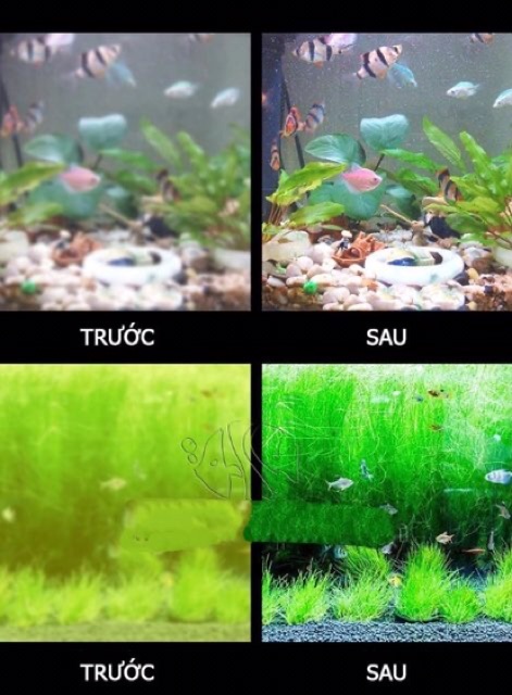 Đèn Uv Baoyu BY-5w-11w mini diệt rêu hại , tảo, diệt khuẩn cho hồ cá , bể cá