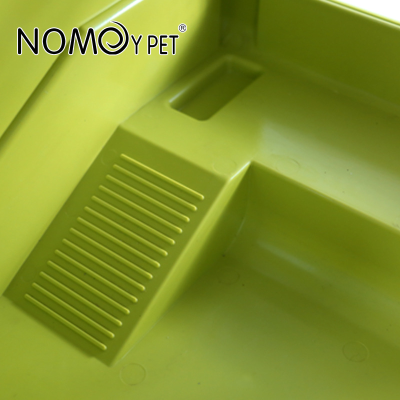 Bể chia rùa Bể rùa nhiều màu với sân thượng  Nuôi rùa thằn lằn nhện Bò sát