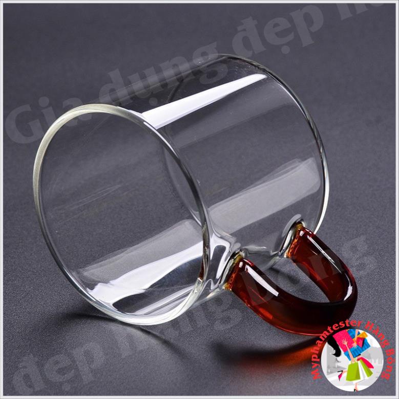 (HÀNG ĐẸP) set 6 chén thuỷ tinh trụ quai màu dung tích 100ml