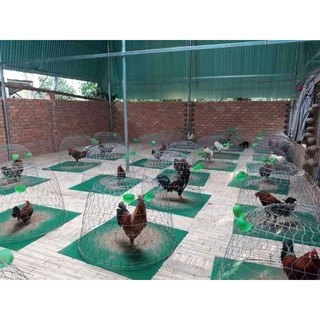 THẢM LÓT BỘI, THẢM LÓT , THẢM GÀ , THẢM NỈ , THẢM 1M.thảm lót bội ,chuồng gà.