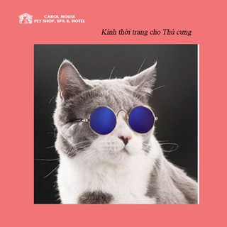 Kính mát thời trang cho chó mèo
